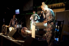 Prowincjonalia-2013 (81)